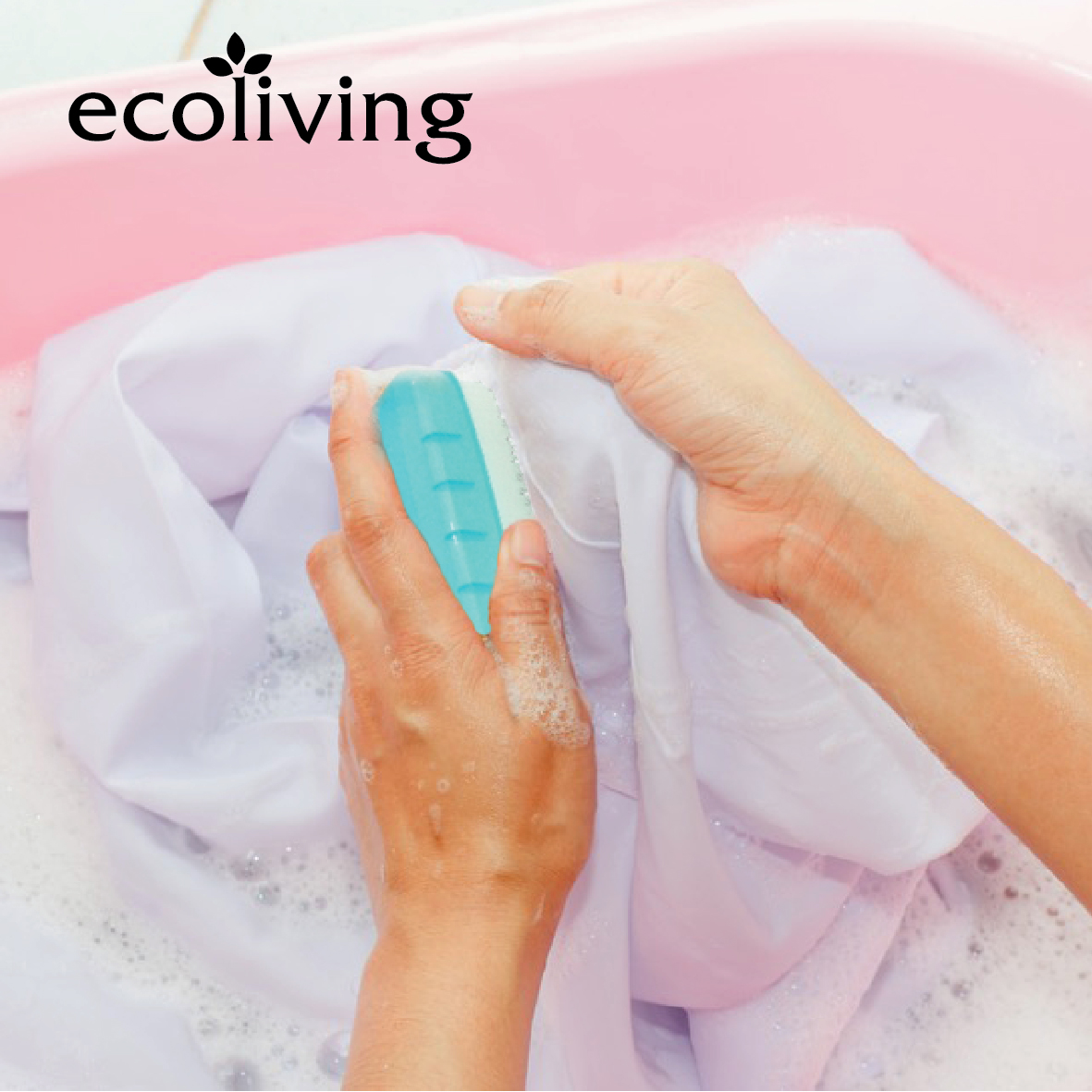 ECO LIVING CARTON DEAL 48Pcs/Pack Durable Soft Bristles Clothes Shoes Cleaning Hand Brush, Berus Serbaguna, ECO-828-48 - Image 6